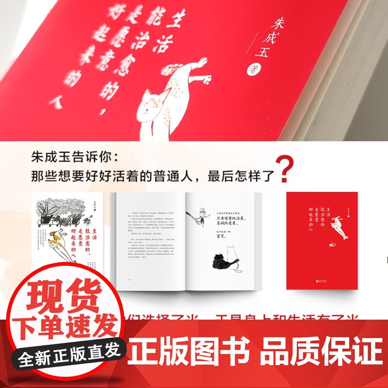 生活能治愈的 是愿意好起来的人 朱成玉 著 励志与成功高清大图