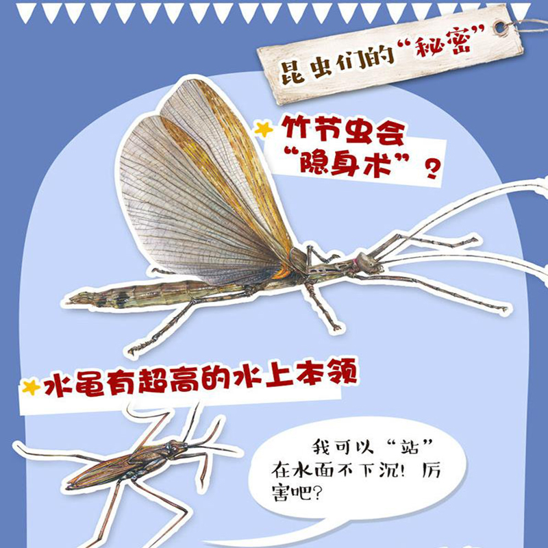 [醉染正版]精装硬壳 千奇百怪的奇特昆虫 孩子爱不释手的昆虫翻翻书 走进昆虫王国 翻阅生命奥秘 神奇植物立体书 儿童3d高清大图
