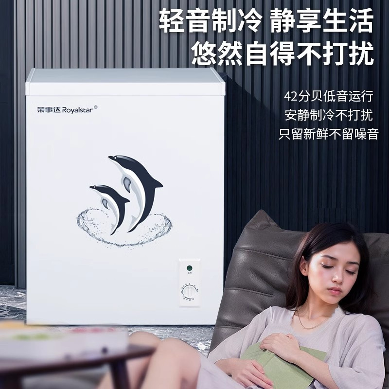 苏宁自营荣事达一级能效迷你小冰柜小型家用商用全冷藏冷冻两用无霜冷柜2133