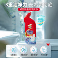 [威王]洁厕剂 500G2瓶