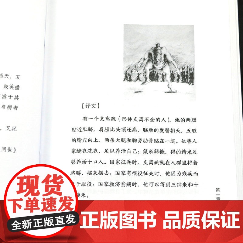 [2册]与庄子哲游+游心之路:《庄子》与现代西方哲学 书籍高清大图