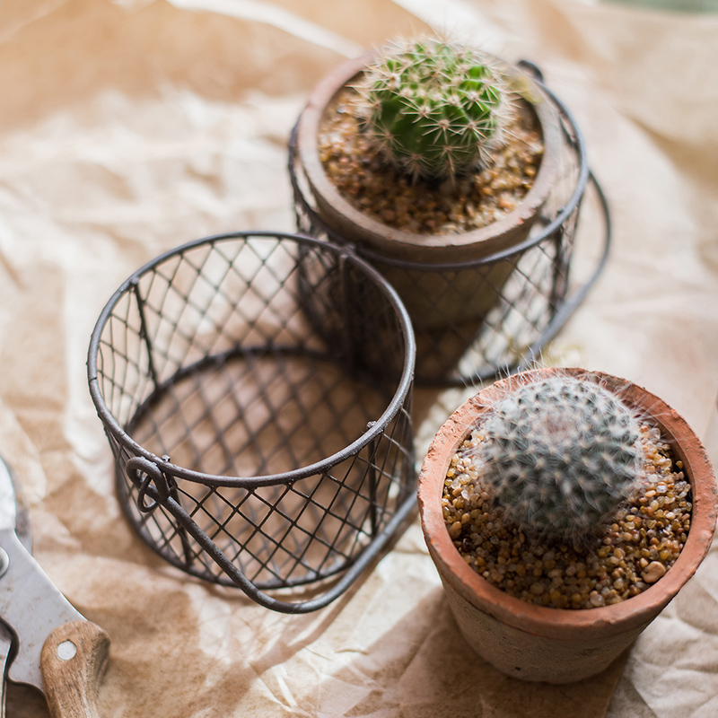 家柏饰(CORATED)泥苔红陶花盆 铁线提篮装饰收纳 花器杂货花园庭院阳台高清大图