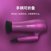 飞科（FLYCO）FH6618电吹风 负离子功能 6档变速 控温调节热量均衡护发2000W大功率可折叠手柄家用发廊吹风筒