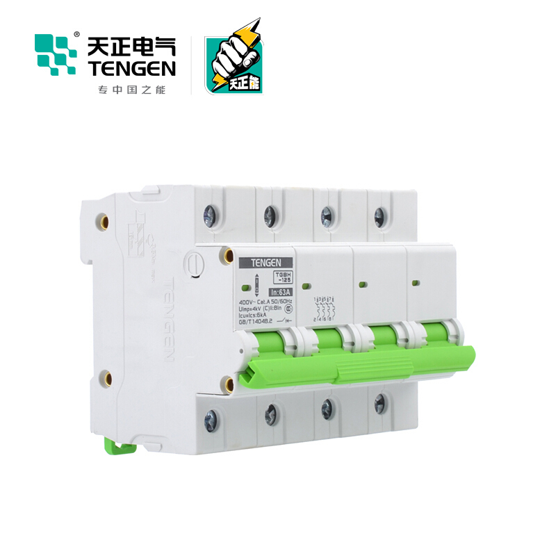 天正电气瑞彩系列TGBH-125 空气开关 6KA 4P C 100A 335013800251 微型断路器