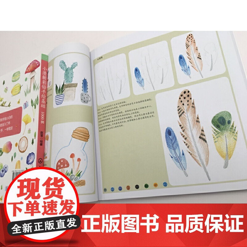 小清新彩铅手绘基础1000例 赵莹 化学工业出版社 正版书籍高清大图