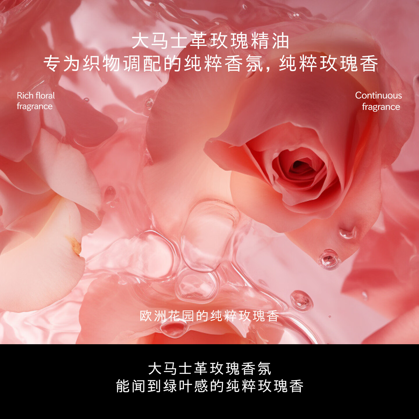 花卉诗玫瑰植物 洗衣液-3L高清大图