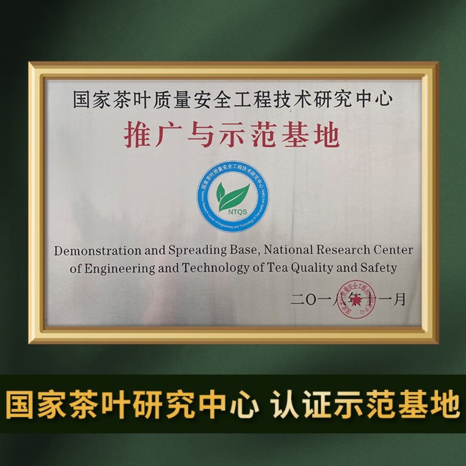 东客集(DongKeJi)日照绿茶2025新茶百满有机绿茶浓香型板栗香一级500g高清大图