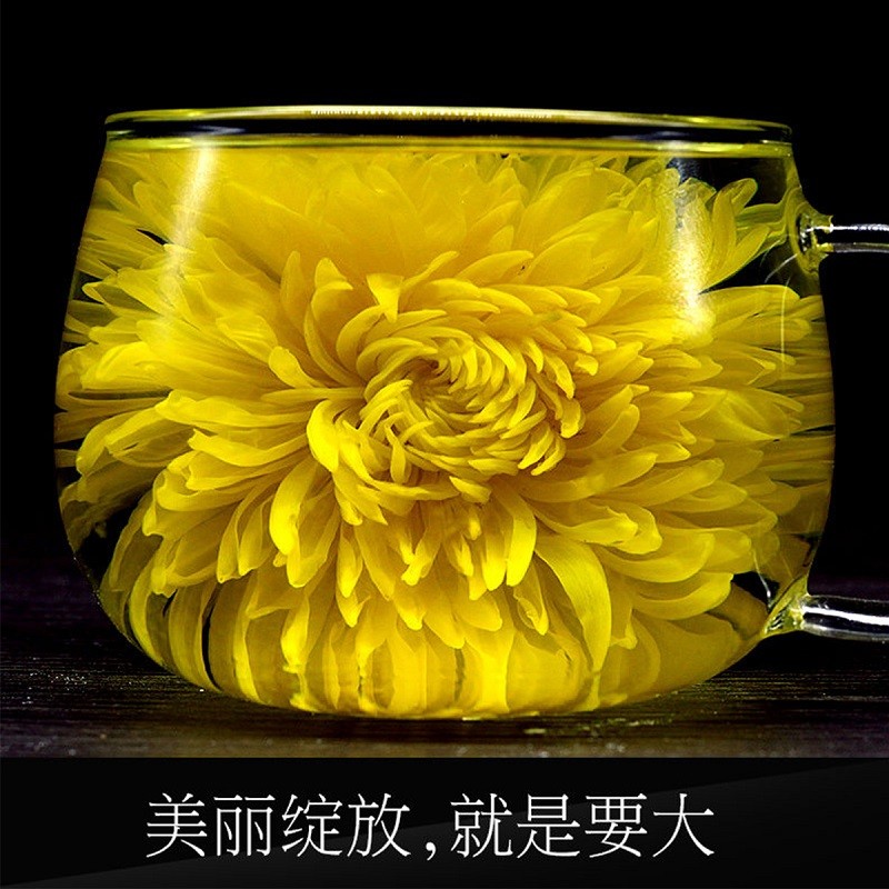 痴福 金丝皇菊大朵菊花茶一朵一杯黄菊大花茶可搭配枸杞红枣袋装100朵高清大图