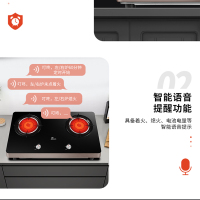 红日(RedSun)红外线燃气灶家用液化气煤气灶台智能定时双眼灶双炉灶双灶大火力节能灶ES009B