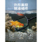 鱼缸网捞渔捞水族箱抄网捞鱼网兜圆方形手抄鱼网金鱼观赏鱼小网捞