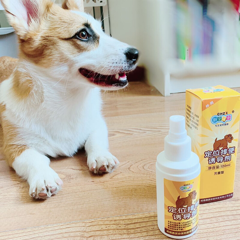 新宠之康 排便诱导液120ml 猫狗通用 狗狗 大小便 上厕所 训练定位 入厕诱导剂 狗狗定位排便 诱导液喷剂