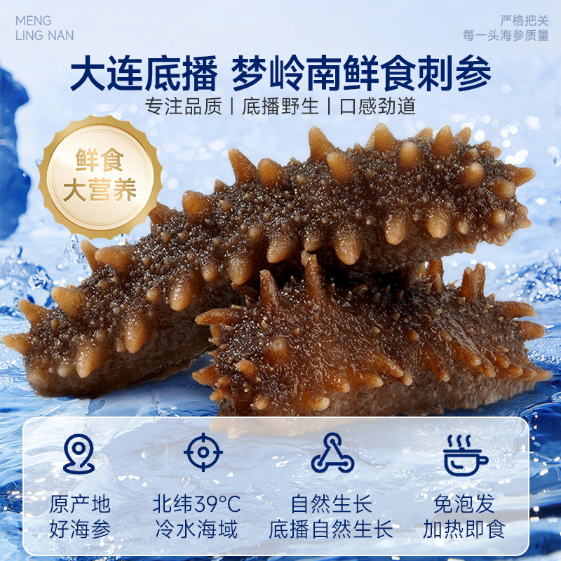 梦岭南 加热煮食大连刺参 大连海参 真空包装辽参 孕妇营养品滋补品 500g/袋 买1500g礼盒装
