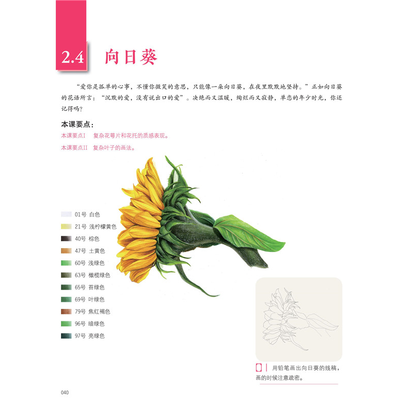 醉染图书绘时光——色铅笔基础技法9787559114112