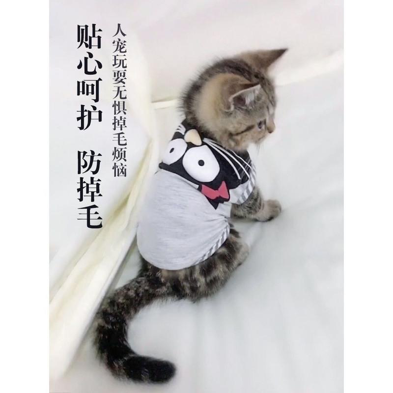 (2件装)可爱背心福袋 S-建议3-6斤宠物 猫咪衣服夏季英短蓝猫宠物布偶猫小猫薄款猫猫背心幼猫夏天防掉毛