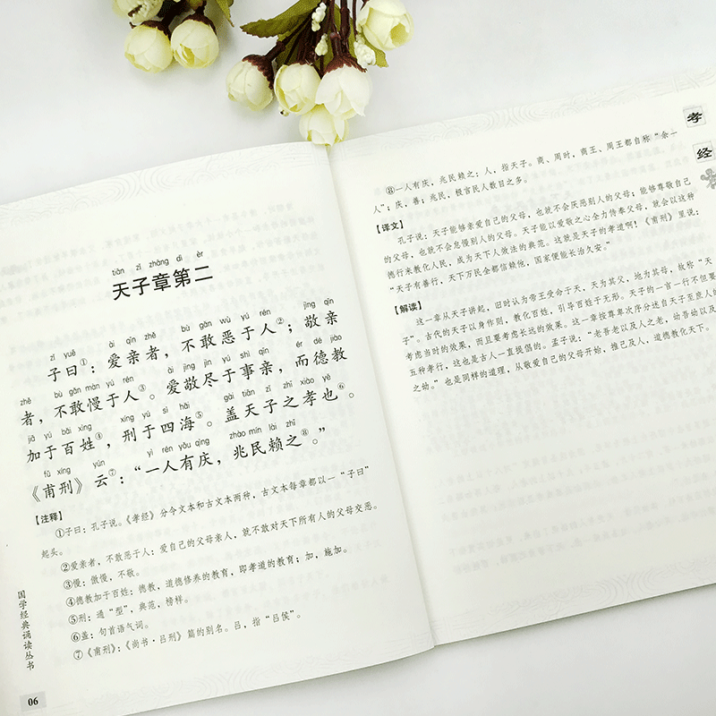 千字文 [正版]国学经典诵读丛书孝经黄帝内经论语曾国藩家书三字经大字注音版3-6-8-10岁幼儿童小学生启蒙故事书籍译注高清大图