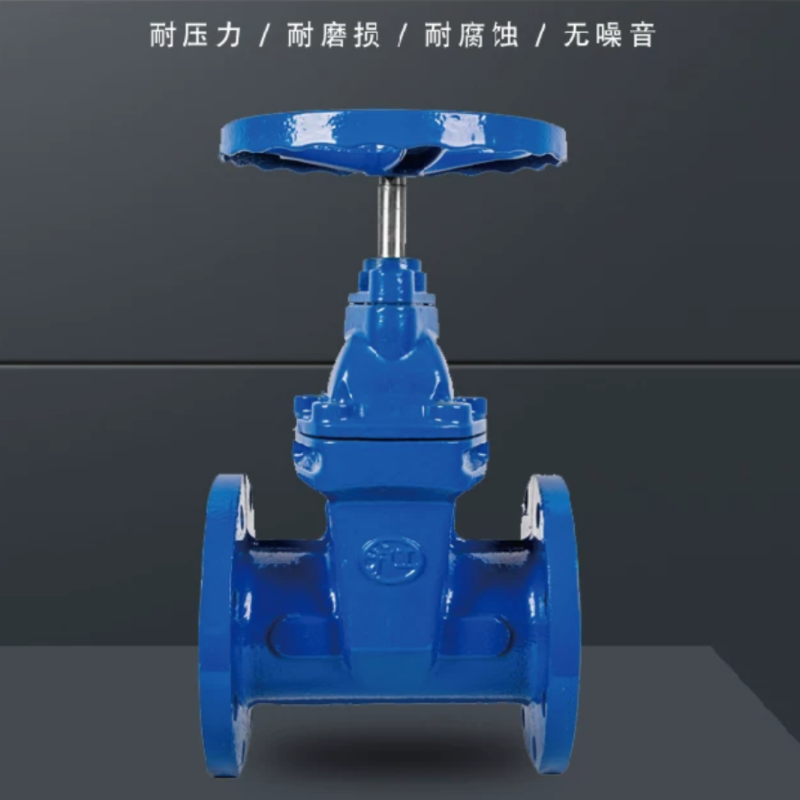 上海沪工弹性座封闸阀暗杆 DN300