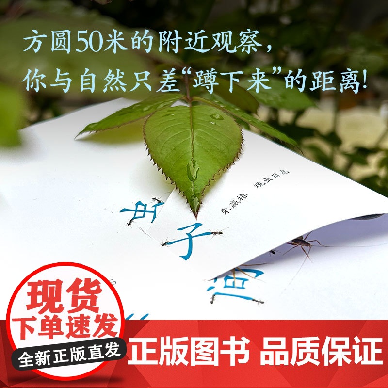 虫子间(成人版)“世界蕞美的书”“中国好书”得主朱赢椿新高清大图