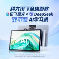科大讯飞学习机T30lite12.5英寸