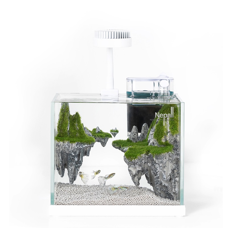 尼泊洱小鱼缸小型客厅办公室桌面创意迷你水族箱微型景观生态鱼缸高清大图