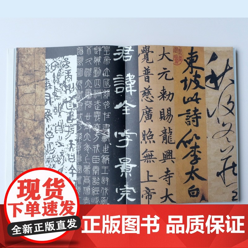 好玩的中国字 9-16岁少儿科普 历史爱好者和中小学生了解中国文字的入门书,随书附赠甲骨文书签和历代名家真迹卡片 9岁以高清大图
