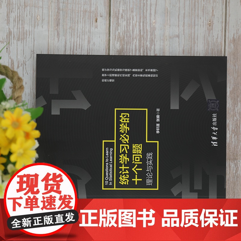 [正版]统计学习必学的十个问题——理论与实践 李轩涯 清华大学出版社 人工智能统计学习高清大图