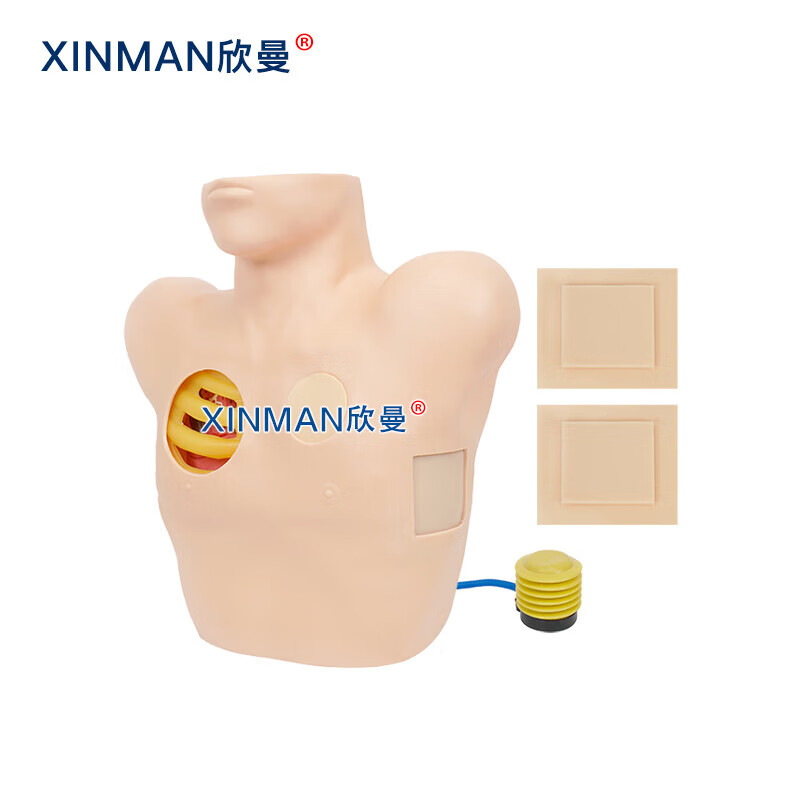 欣曼科教 胸腔穿刺模拟训练模块 胸腔穿刺引流操作模型XM-2020