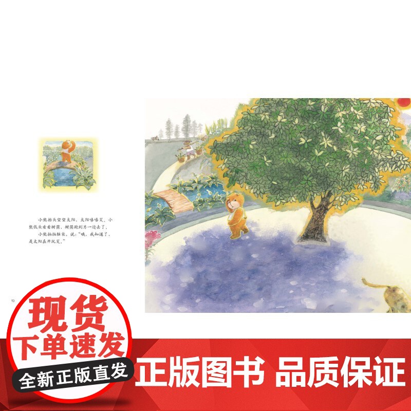 探索吧!科学!——幼儿科学启蒙经典绘本 树荫(关于光影关系)高清大图