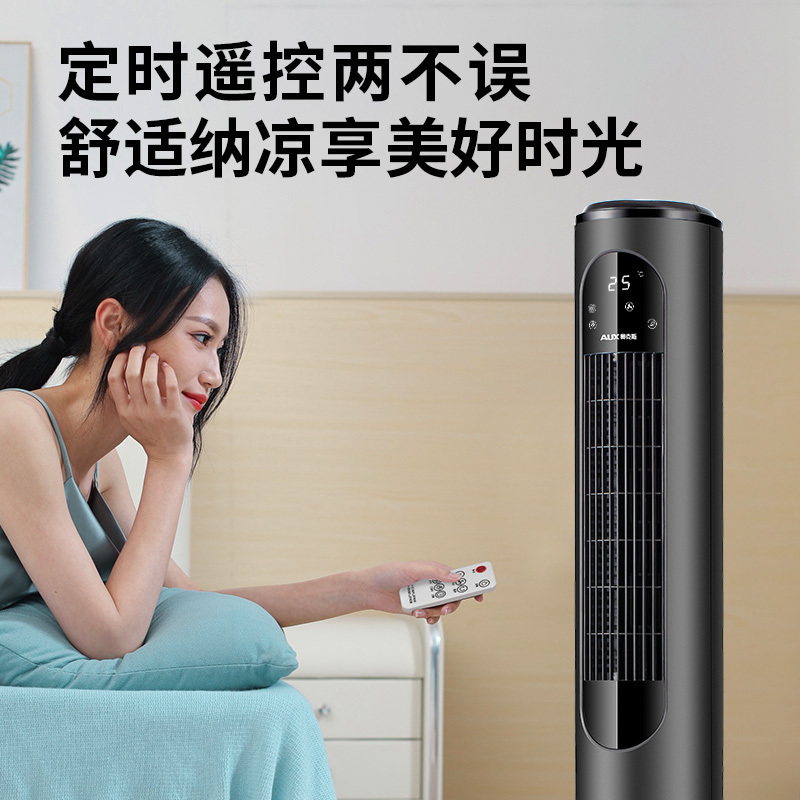 奥克斯(AUX)空调扇电风扇家用节能省电风扇办公室落地扇制冷风机F-ST45GR