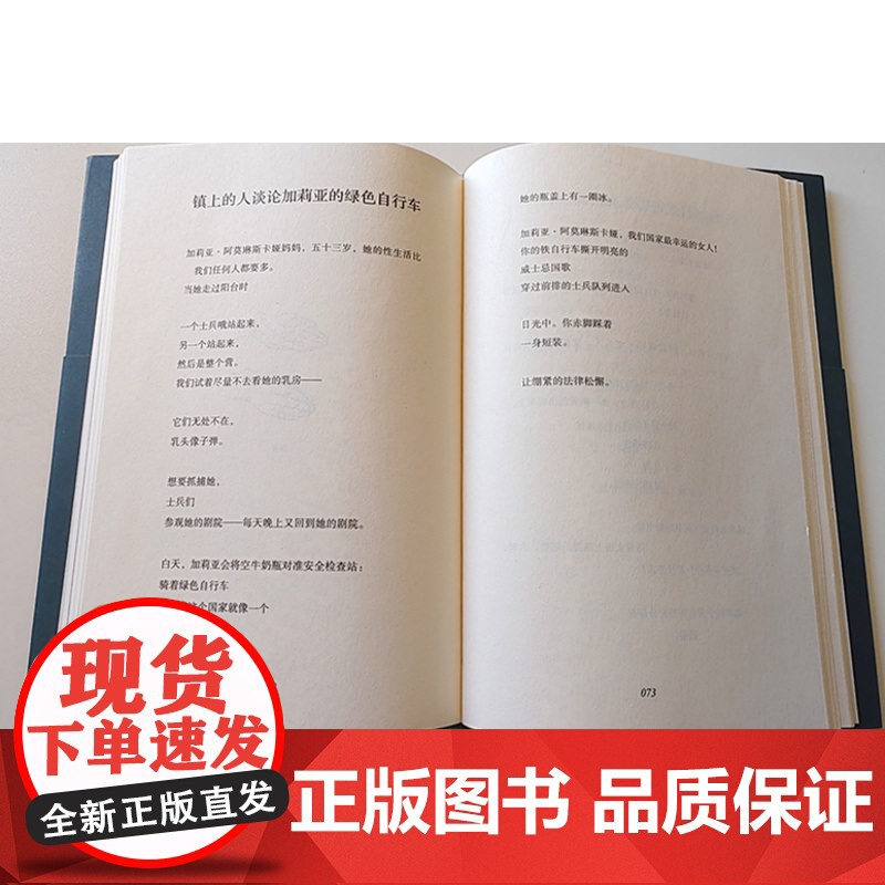 纯粹·聋哑剧院之夜 (美)伊利亚·卡明斯基/著 王家新/译 诗歌 广西师范大学出版社高清大图