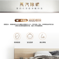 海尔(Haier)洗衣机 EG10012HB18G 10公斤 烘洗一体 变频节能 家用全自动滚筒洗衣机 中途添衣 干衣机