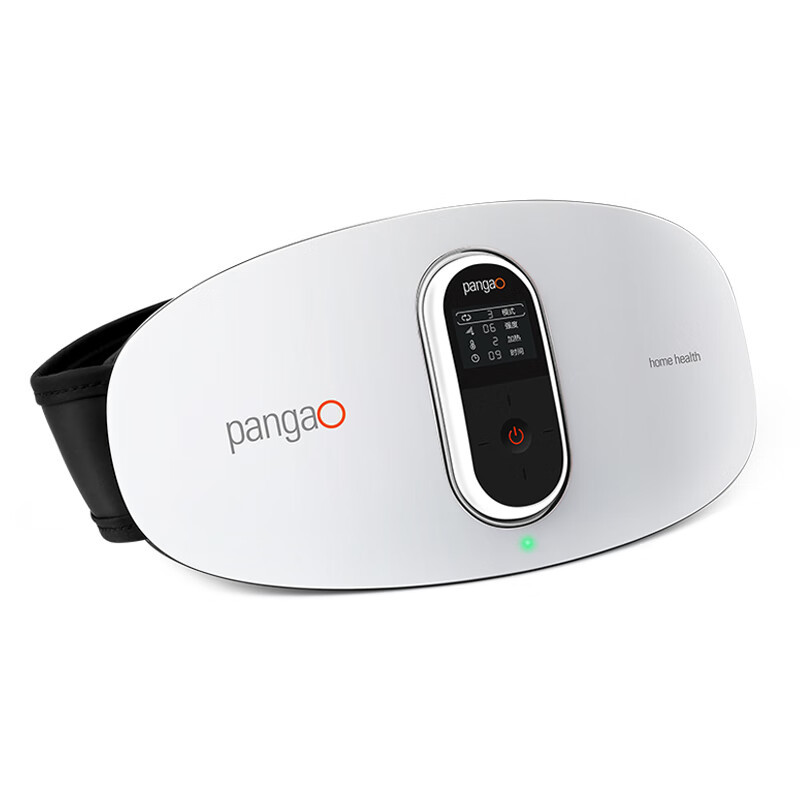 攀高(pangao) 腰腹部按摩仪 腰椎按摩仪热敷护腰带充电版 PG-2645