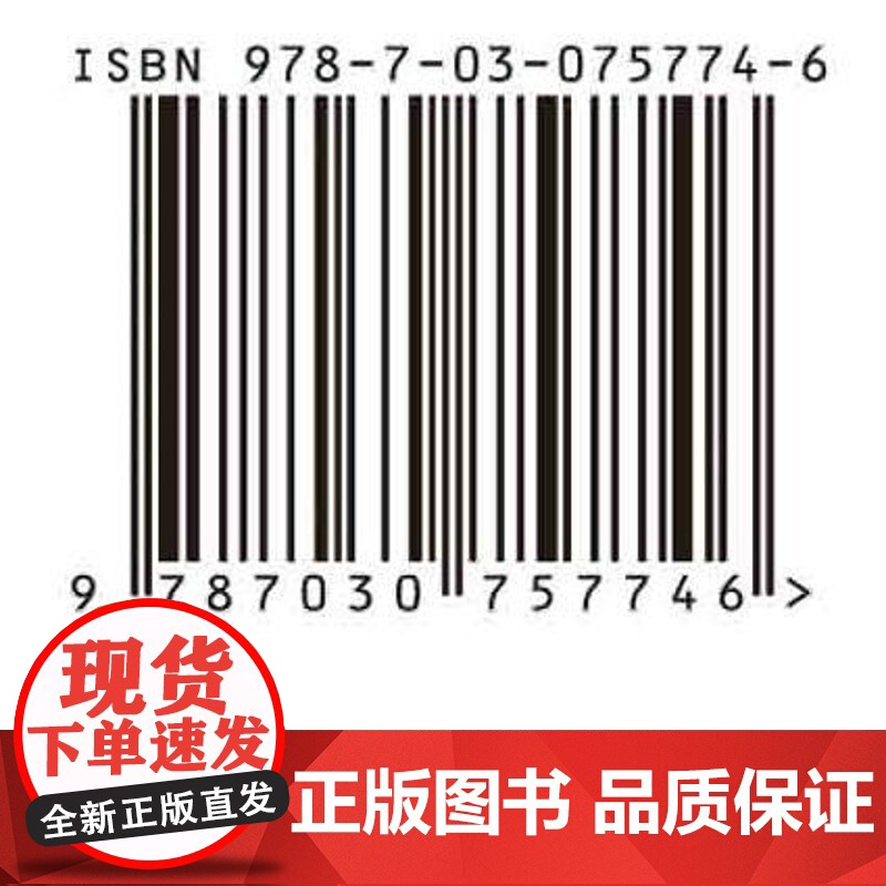 [按需印刷] 数字政府的理论探索与实践创新——从全面认知到整体智治高清大图
