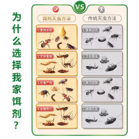 蚂蚁药强效家用传染灭蚁全一窝端连环杀蚁饵剂室内灭蚁神器非无毒