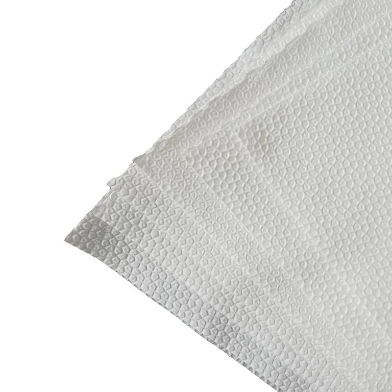 温蕾萨 高强擦拭纸无纺布无尘布白色单层大卷式 CQ35 26*35cm*600片/卷高清大图
