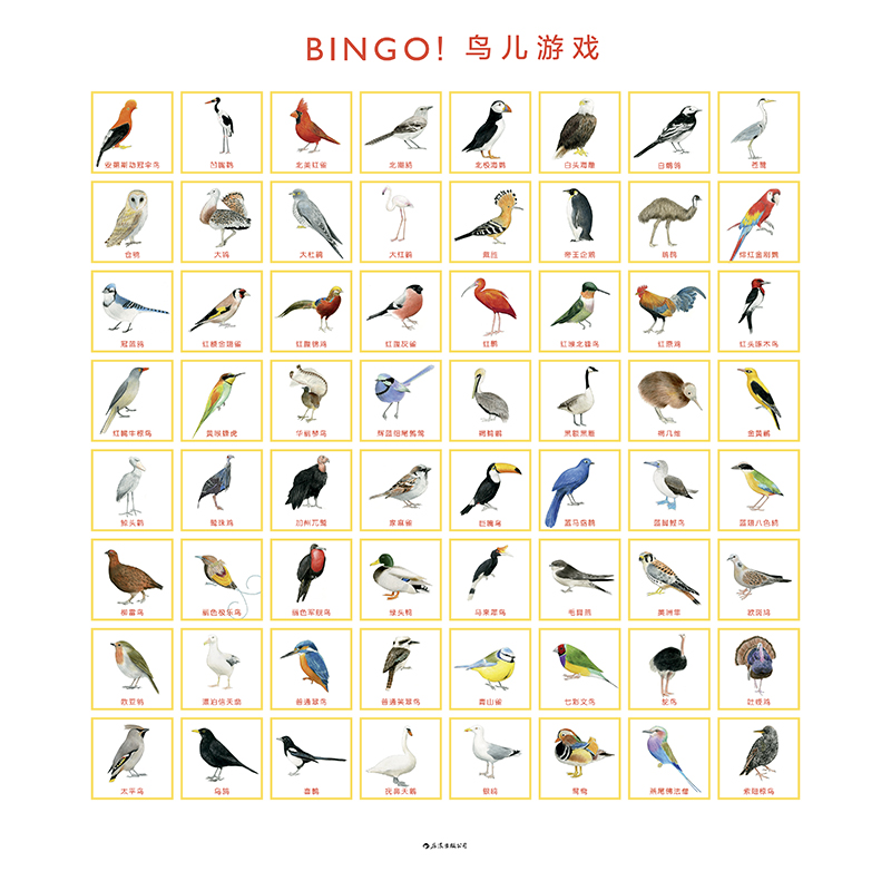 [正版] 宾果系列 BINGO鸟儿游戏 3至6岁儿童读物教辅益智启蒙 互动智力开发 探索与发现书籍高清大图