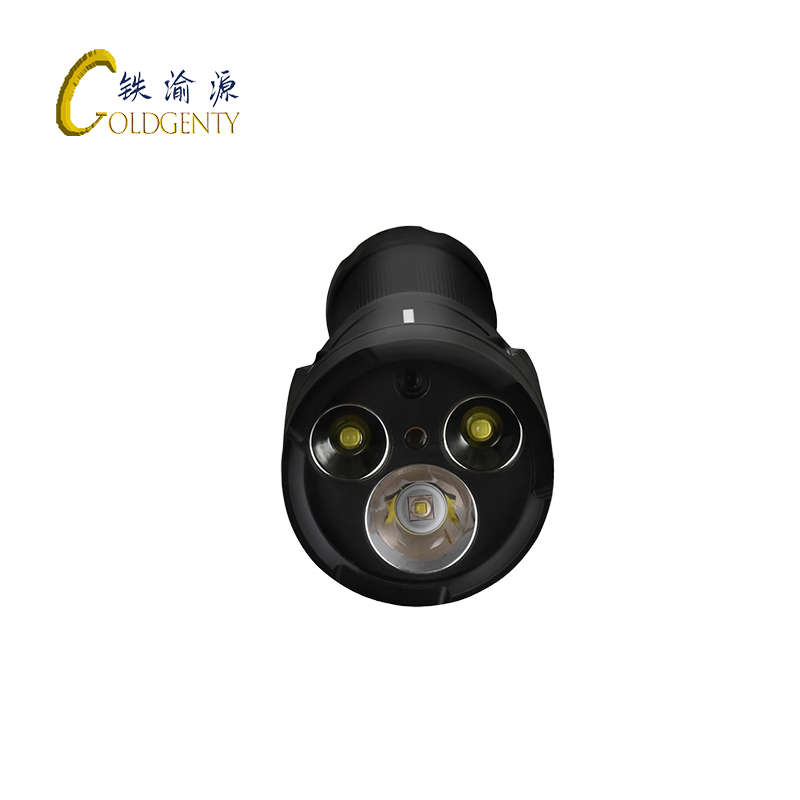 铁渝源 手电式巡检记录仪DSJ-S1/台高清大图