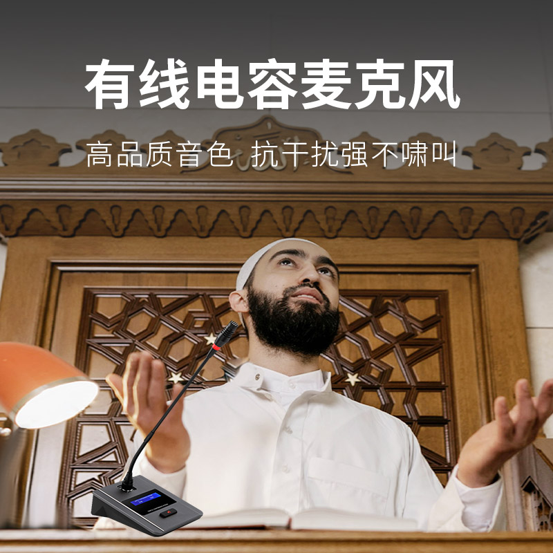 润普Runpu 会议音频扩声系统 专业有线电容麦克风会议话筒 会议演讲主持鹅颈麦RP-S-DYX506高清大图