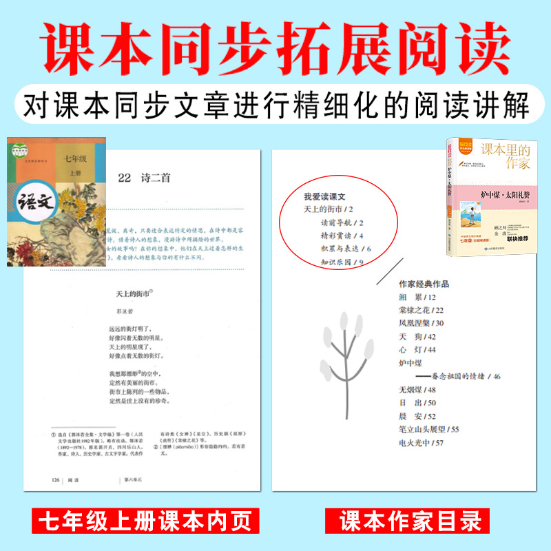 醉染图书炉中煤·太阳礼赞 学生精读版 彩插精读版9787570125029