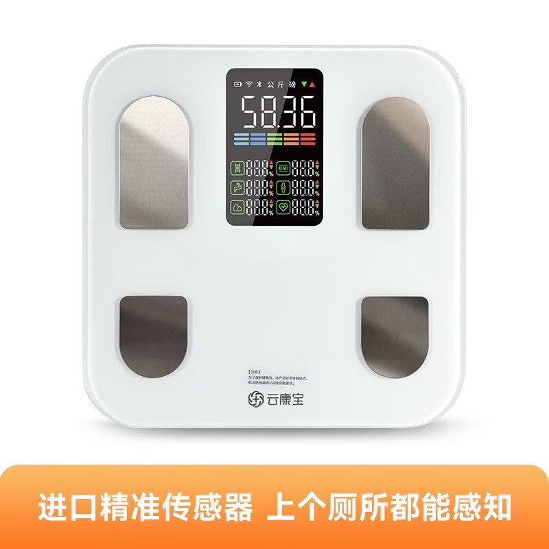云康宝智能体脂秤-CS20E彩屏款高清大图