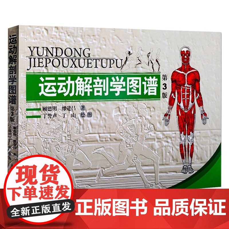 [正版]运动解剖学图谱 第3版 人民体育出版社运动解刨学运动医学书运动训练力量健身人体肌肉全面解剖图谱体育医学专业书籍高清大图