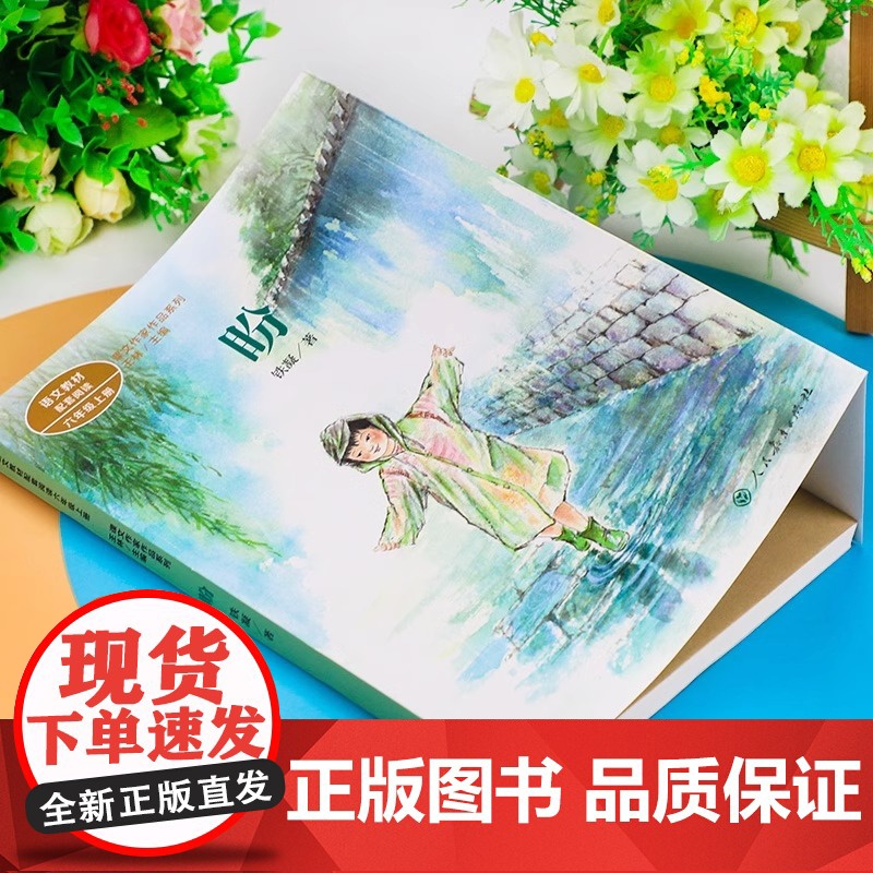 盼 铁凝著正版 六年级阅读的课外书上册 人民教育出版社 适合小学生看的课外书籍语文教材配套课文作家作品系列老师推儿童故事高清大图