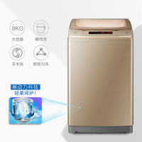 海尔（Haier） 8公斤幂动力波轮洗衣机 全自动家用大容量 智能下排水 筒自洁 衣物防缠绕 B8018F31