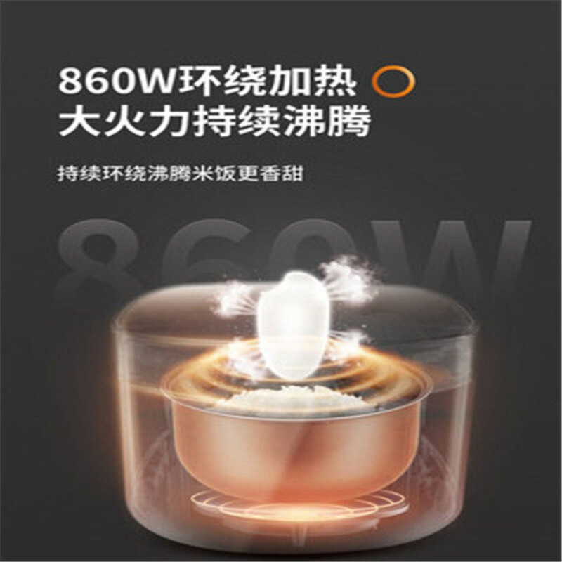 九阳 电饭煲电饭锅2-6人预约多功能焖煮防溢家用3升F-30FZ630高清大图