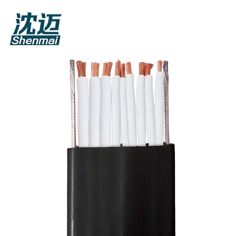 沈迈 铜芯扁电缆 YFFB-2G-3*10+6*1.5mm² /米