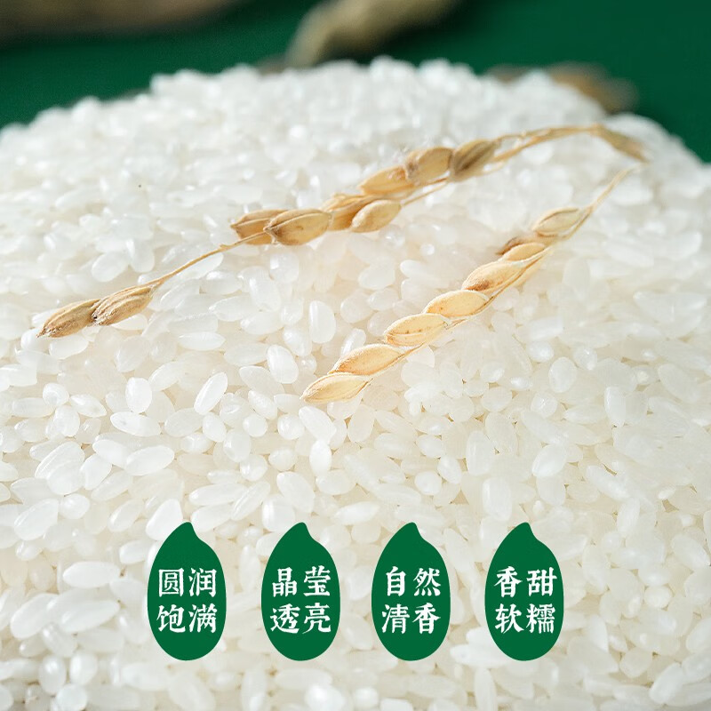 隆平农场 大米新米 圆粒珍珠米有机大米粳米十斤 耐盐碱有机大米10斤高清大图