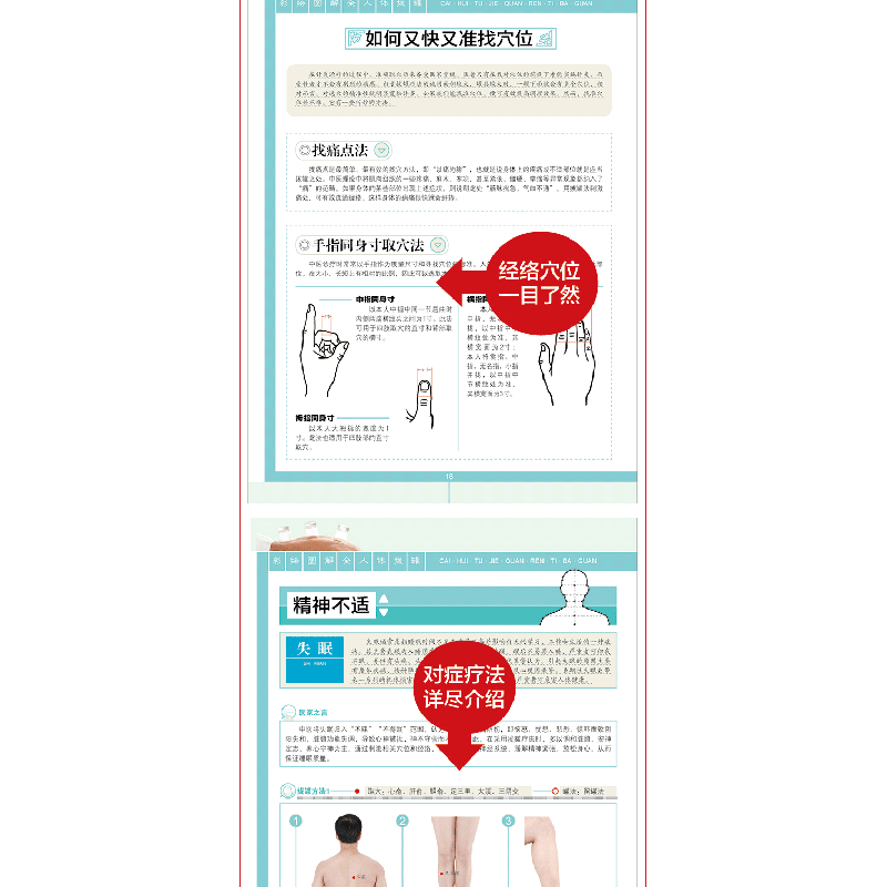 正版新书]全人体拔罐 图解彩绘版耿引循9787539077192高清大图