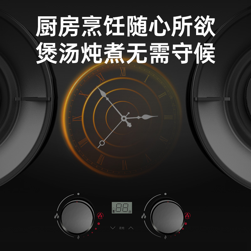 帅康(sacon)3B815燃气灶嵌入式双眼灶5.6kW大火力可调节定时钢化玻璃台嵌两用家用炉具炉灶双灶台式煤气灶天然气