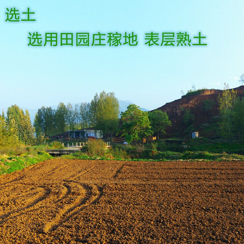 天然黄土山泥土种植土养花营养土壤种菜土泥茶花茉莉黄土泥黄泥巴 5斤纯黄土粘性土送1袋生根粉