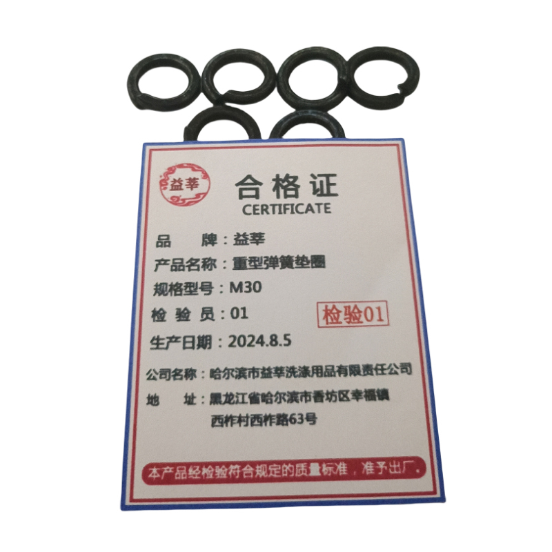 益莘 重型弹簧垫圈 M30 个