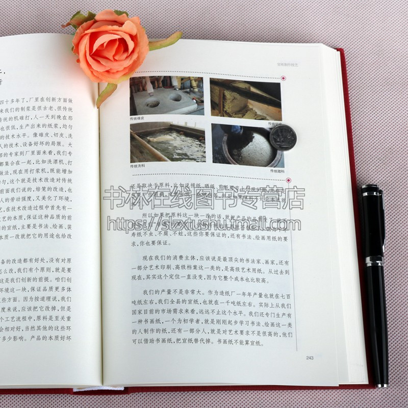 [正版]文字的记忆 书写的工具苏美尔楔形文字古埃及圣书字汉字玛雅文字世界古老的四大古典文字读懂中国传统文化的传承书籍